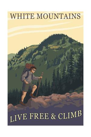 MT WASHINGTON VALLEY TRAIN ART PRINT Old Man of the Mountain White NH gift hiker
